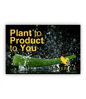 Plant to Product to You - Visitenkarte