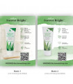 Bright - Mini-Roll-up