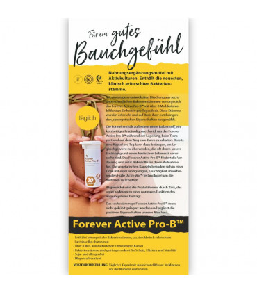 Flyer "Bauchgefühl"