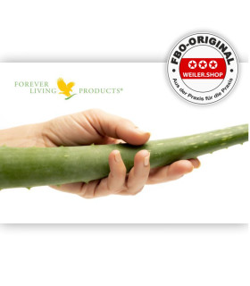 Aloe Geschenk - Visitenkarte
